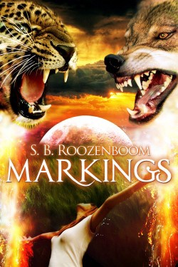 Markings by S.B. Roozenboom