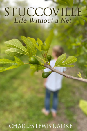 Stuccoville: Life Without a Net by Charles Lewis Radke