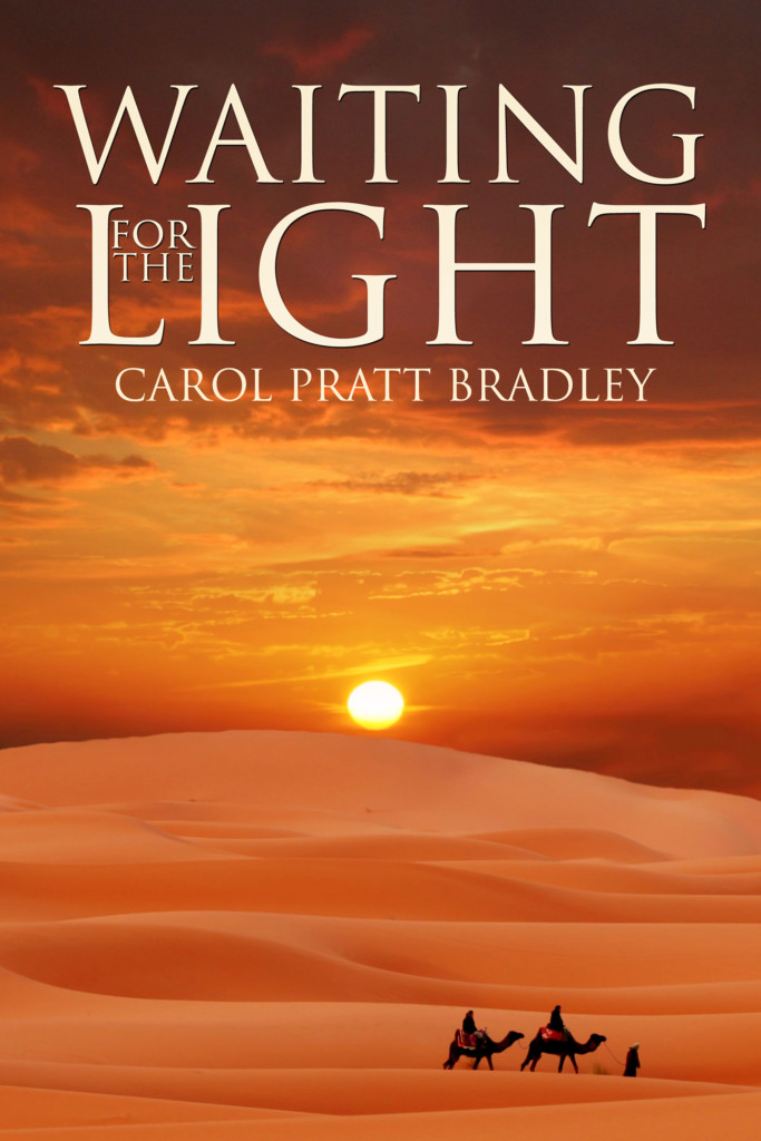 Waiting for the Light by Carol Pratt Bradley